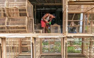 FOTO KERAJINAN DEMAK : Sangkar Burung Dibikin di Kebonbatur