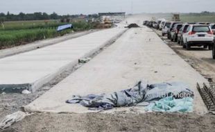 FOTO PETERNAKAN JATENG : Telur Burung Puyuh Demak Naik Harga