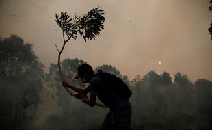 Karhutla Disebut Bentuk Pelanggaran HAM