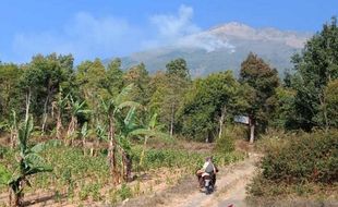 Hutan Gunung Sumbing Kembali Membara