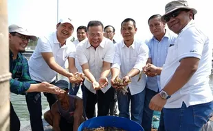 PTPN IX Buktikan Udang Vannamei Potensial di Pemalang