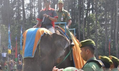 Gubernur Jateng Tunggangi Gajah di Jambore Satlinmas