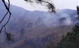 Hutan Lereng Gunung Andong Terbakar