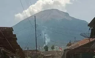 Hutan Sindoro BKPH Temanggung Terbakar