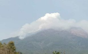 Api Bakar 10 Ha Hutan Gunung Sumbing