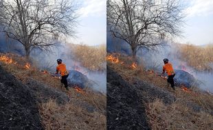 Hutan Gunung Gandul Wonogiri Terbakar