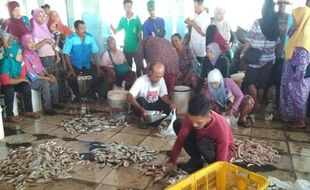 Nelayan Jepara Keluhkan Hasil Tangkapan, Ini Sebabnya...