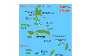 Cek Fakta: Kabar Ambon Ambles Jika Palung Laut Longsor