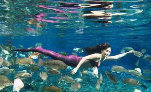 Pesona 1.001 Umbul di Klaten: Spot Snorkeling – Terapi Kesehatan