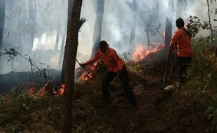 Api di Gunung Lawu Belum Padam, Petugas Pemadam Pakai 2 Cara