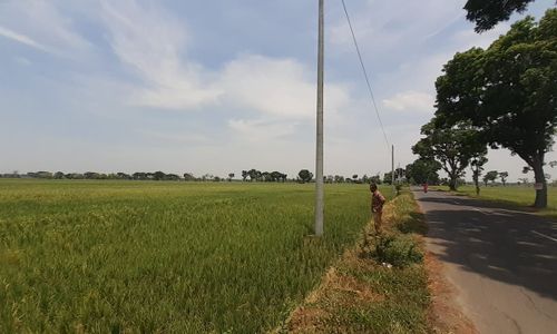 Begini Tanggapan PLN Madiun Soal Pemasangan Tiang Listrik di Lahan Petani Tanpa Izin