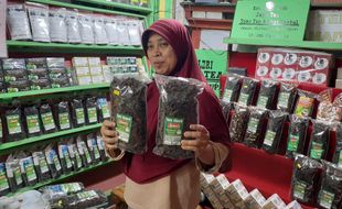 Di Kebun Teh Jamus Ngawi, Ada Daun Teh Harganya Rp2 Juta/Kg