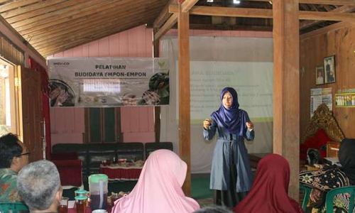 Yayasan Harmoni Fasilitasi Pelatihan Budidaya Empon-Empon di Sragen