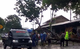 Banyumas Wajib Waspadai Pohon Tumbang Akibat Angin Kencang