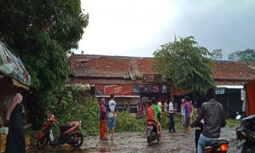 Hujan Deras Disertai Angin Kencang, 6 Rumah di Batang Roboh