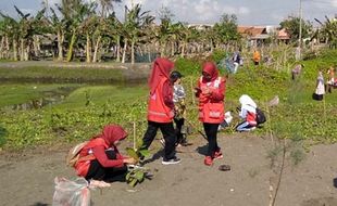 PMI Kerahkan KSR Hijaukan Pantai Tapangdengklok Cilacap, Ini Tujuannya...