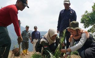 UMK Tanam 11.000 Pohon di Pegunungan Muria