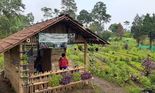 Menjaga Ekosistem Lewat Pertanian Organik di Mojokerto (Bagian 3-Habis)