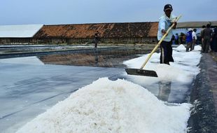 Harga Garam di Cirebon Anjlok, Cuma Rp100/Kg