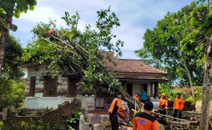 Puting Beliung Rusak 110 Rumah dan Kios di Magetan