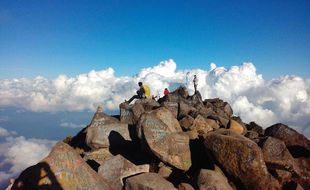 Kebakaran Hutan, Pendakian di Gunung Arjuno-Welirang Ditutup Sementara