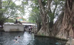 Umbul Manten Klaten Sudah Buka Lagi, Yuk Nyemplung