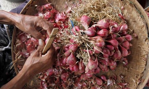 Harga Beras dan Bawang Merah di Solo Berangsur Turun, Gula Pasir Stabil Tinggi