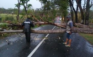 Diterjang Hujan Badai, 44 Rumah di Magetan Rusak