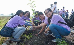 Indaco Warna Dunia Tanam 500 Pohon Bareng Warga di Kebakkramat Karanganyar