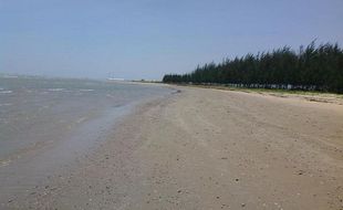 Unik, Banyak Karang Berbentuk Jahe di Pantai Rembang Ini