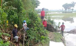 Bahaya! Tanggul Sungai Situri di Weru Sukoharjo Merekah dan Longsor