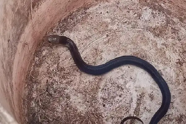 Rus konfeti porno onlayn