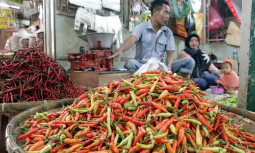 Makin Pedas, Harga Cabai Rawit Merah Tembus Rp80.000/Kg