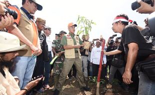 3.500 Pohon Ditanam di Pegunungan Patiayam Kudus