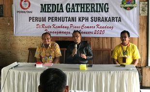 Buntut Perusakan Hutan di Karanganyar, Perhutani Tolak Kerja Sama Baru