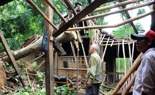 Angin Kencang Terjang 6 Kecamatan di Sragen, Sejumlah Bangunan Rusak Tertimpa Pohon