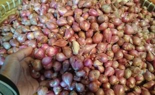 Petani Pati Keluhkan Rendahnya Harga Bawang Merah