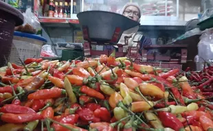 Terus Meroket, Harga Cabai Rawit di Madiun Capai Rp100.000/Kg