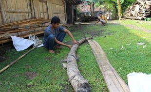 Fosil Hewan Purba Bermunculan Dari Longsoran Tanah Kawasan Sangiran Sragen 