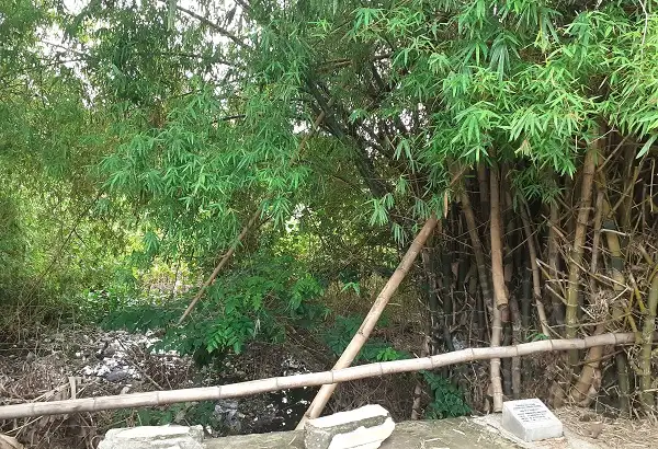 Asal Usul Kalimati Sukoharjo, yang Mitosnya Ada Pernikahan Gaib