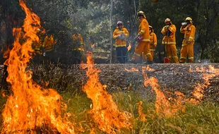 10 Juta Orang Terjebak Api Kebakaran Hutan Australia?