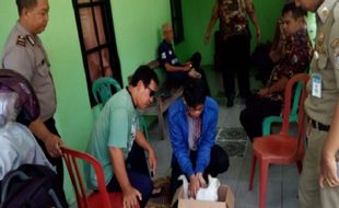 27 Kucing di Jaten Karanganyar Mati Massal Terjangkit Virus