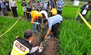 Terungkap, Pembuang Mayat Bayi Terbungkus Kain Kafan di Sawah Ponorogo Ternyata...