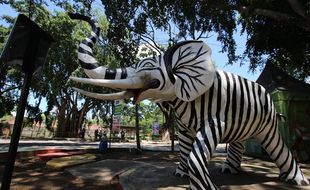 Ada Patung Gajah Bercorak Zebra di TSTJ Solo, Pengunjung Protes