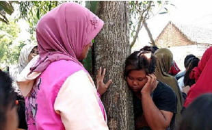 Ini Penjelasan Ilmiah Pohon Menangis di Jember