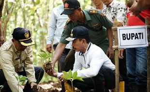 Petani Pati Diajak Budi Dayakan Umbi Porang