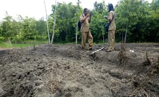 Penemuan Fosil Gading Purba Buka Peluang Ekskavasi di Gunung Tugel Sragen 