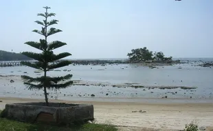 Ada di Indonesia, Ini Penampakan Pulau Terkecil di Dunia