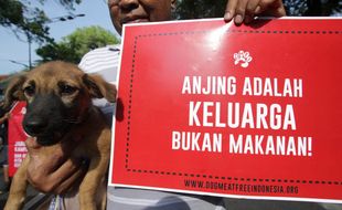 Pengumuman! Wali Kota Salatiga Larang Peredaran Daging Anjing