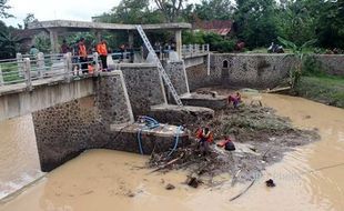 Terkuak! Ini Sarang Piton Jumbo di Sungai Garuda Sragen